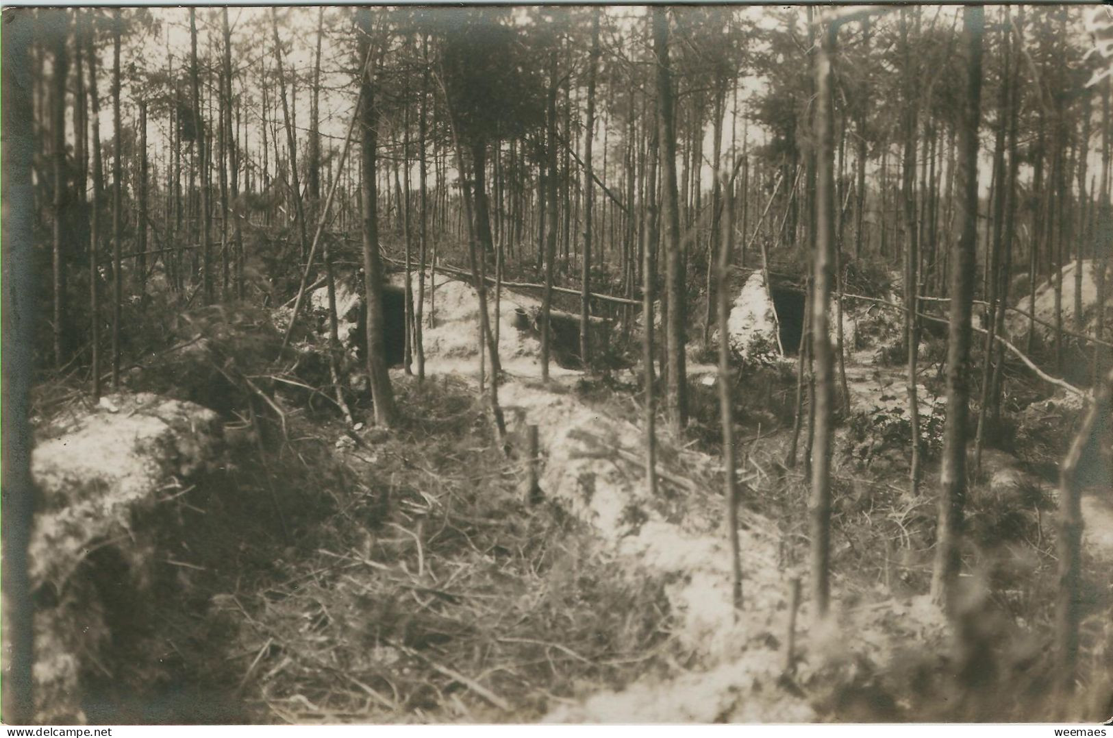 Ieper Polygonwald 1914 15 - Ieper