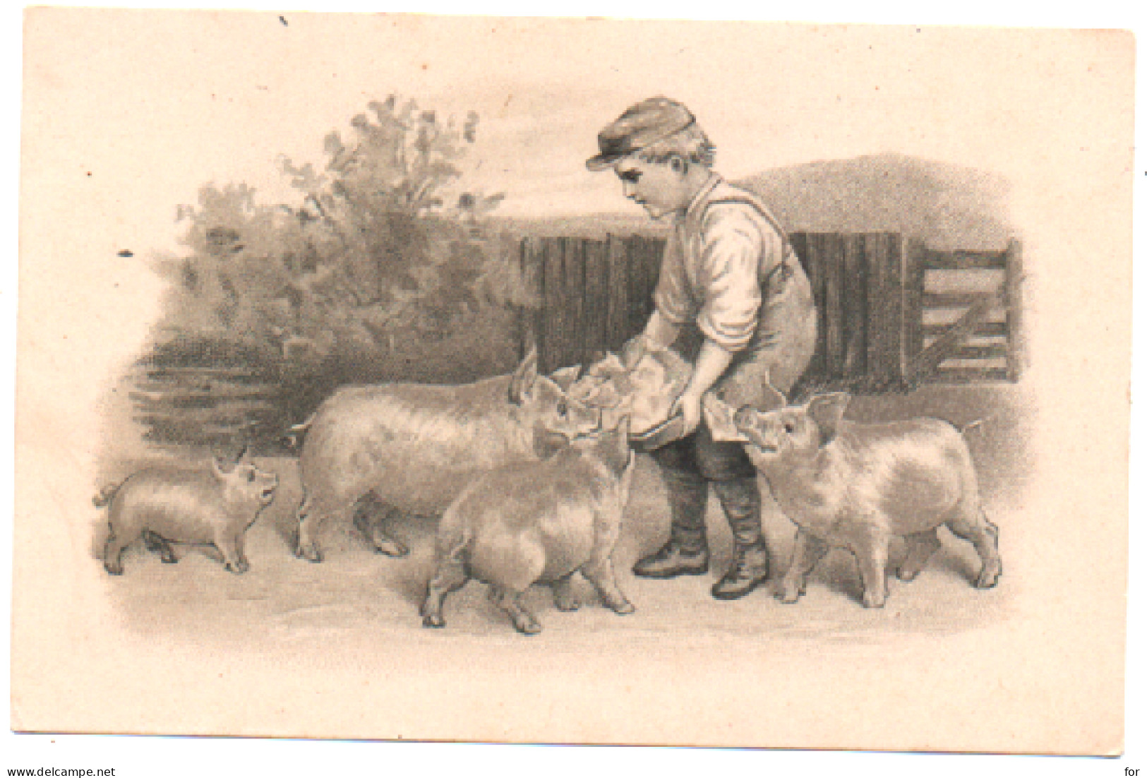 Illustrateur : à Identifier : Petit Enfant Donnant à Manger Aux Cochons : éditeur - L. Fontaine - Montpellier - 1900-1949