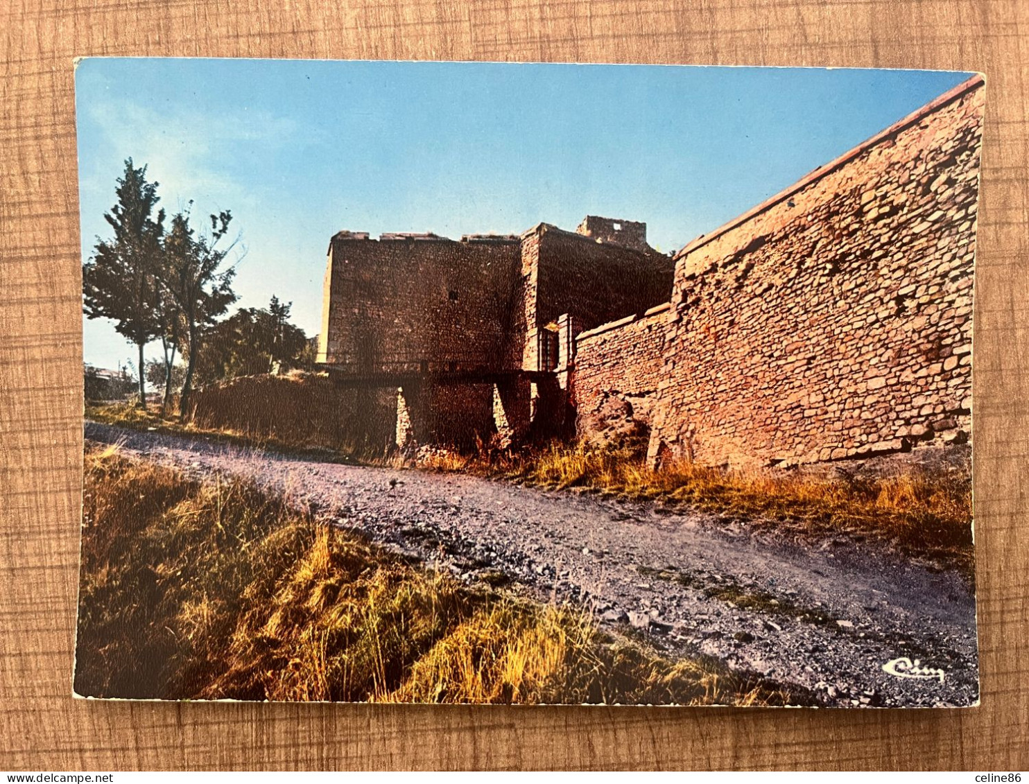 SEYNE Les ALPES Fort Vauban Monument Historique - Other & Unclassified