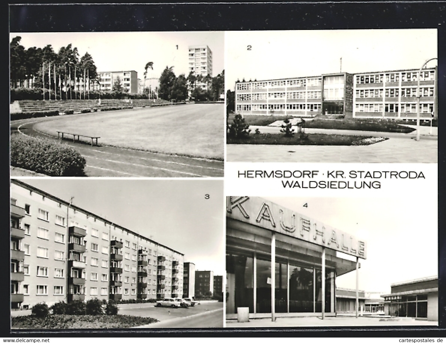 AK Hermsdorf /Kr. Stadtroda, Waldsiedlung, Erich-Weinter-Strasse, Polytechnische Oberschule, Kaufhalle  - Stadtroda