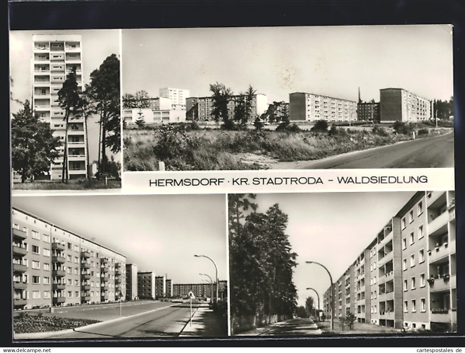 AK Hermsdorf /Kr. Stadtroda, Strassenpartie In Der Waldsiedlung, Hochhaus  - Stadtroda