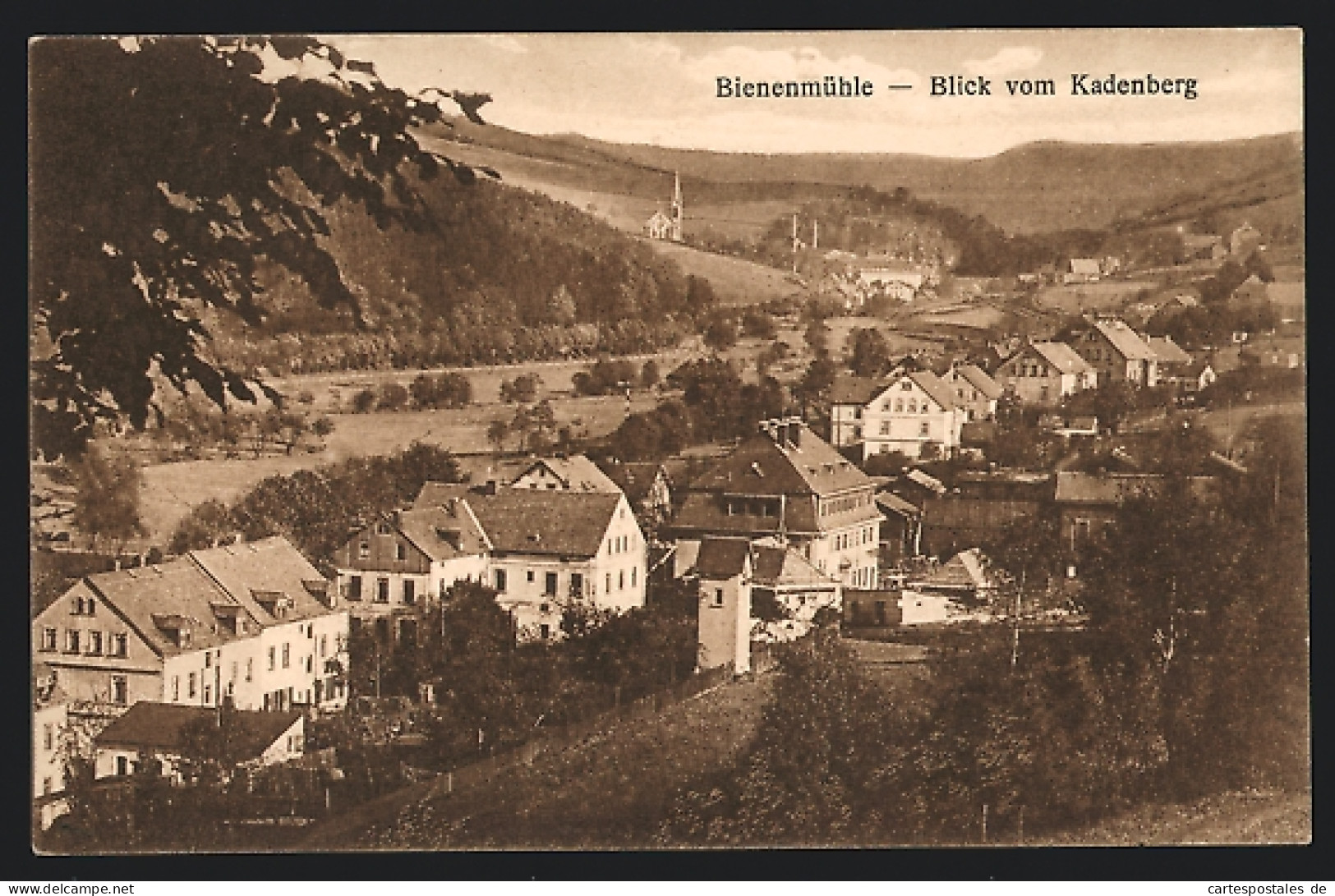 AK Bienenmühle /Rechenberg, Blick Vom Kadenberg  - Rechenberg-Bienenmühle