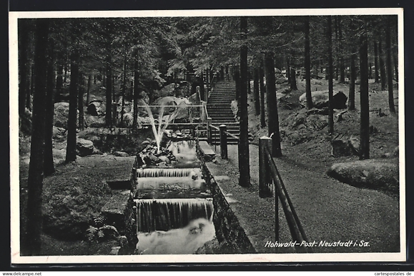 AK Hohwald /Neustadt I. Sa., Ortspartie Mit Wasserspiel Und Treppenaufgang  - Hohwald (Sachsen)