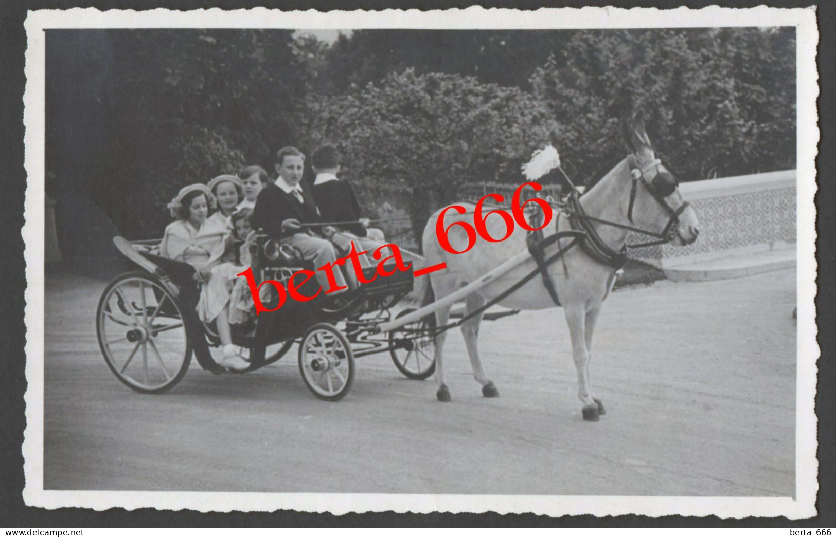 Postal Fotográfico * Charrete * CPA Enfants Charrette à Chevaux - Horses