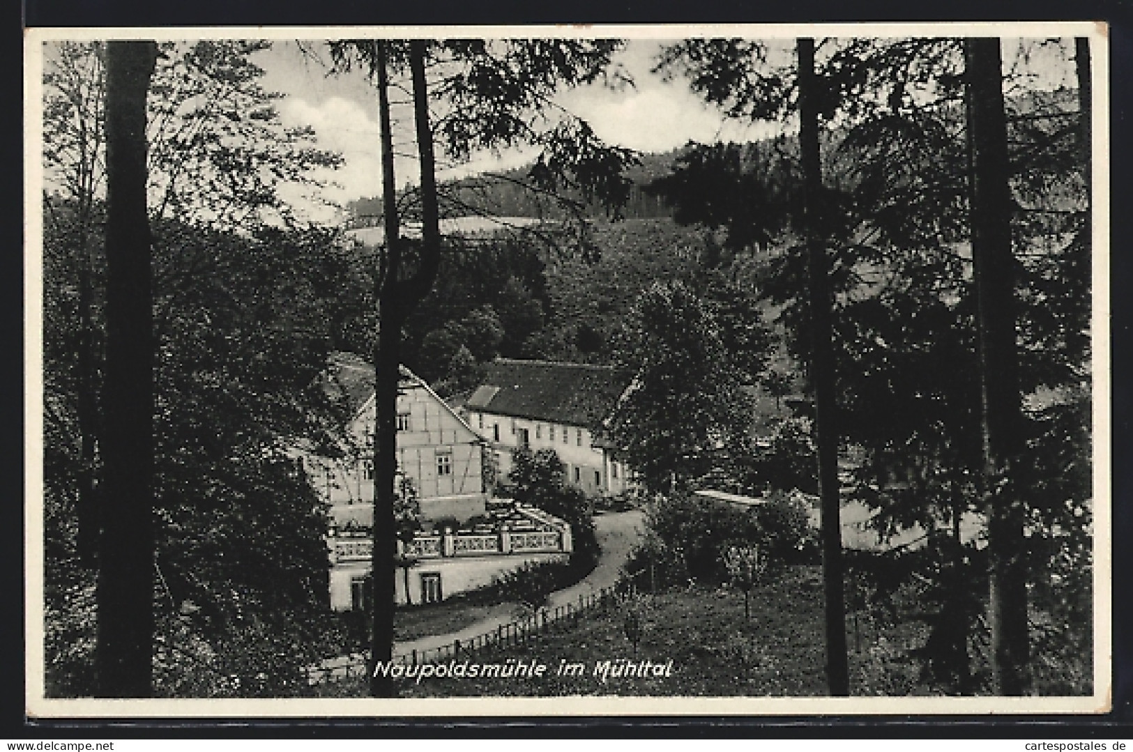 AK Naupoldsmühle /Eisenberg, Gasthaus Naupoldsmühle Im Mühltal Aus Der Vogelschau  - Eisenberg