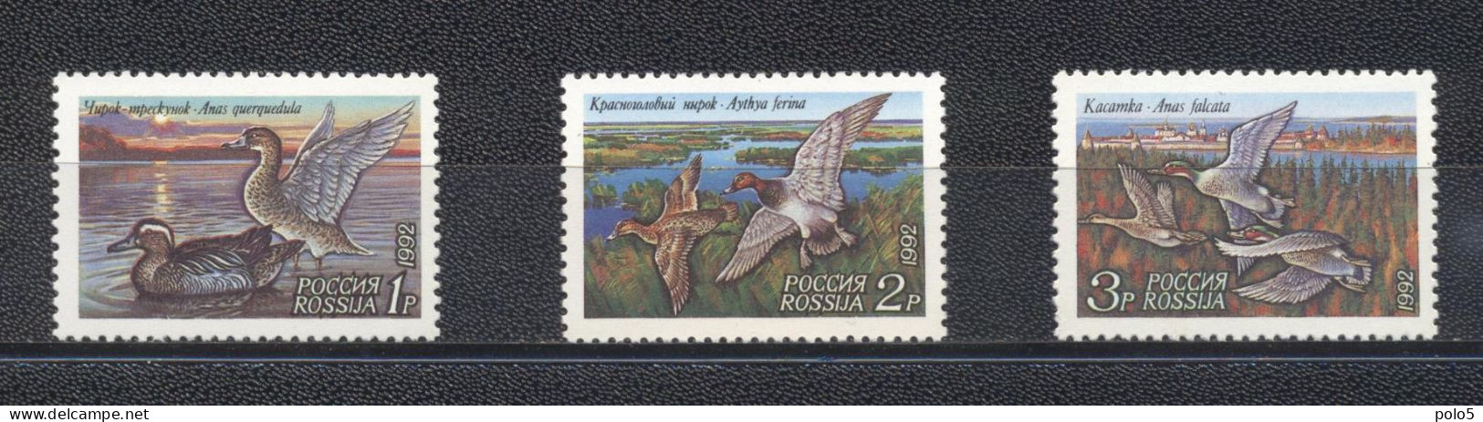 Russie 1992- Ducks Set (3v) - Unused Stamps