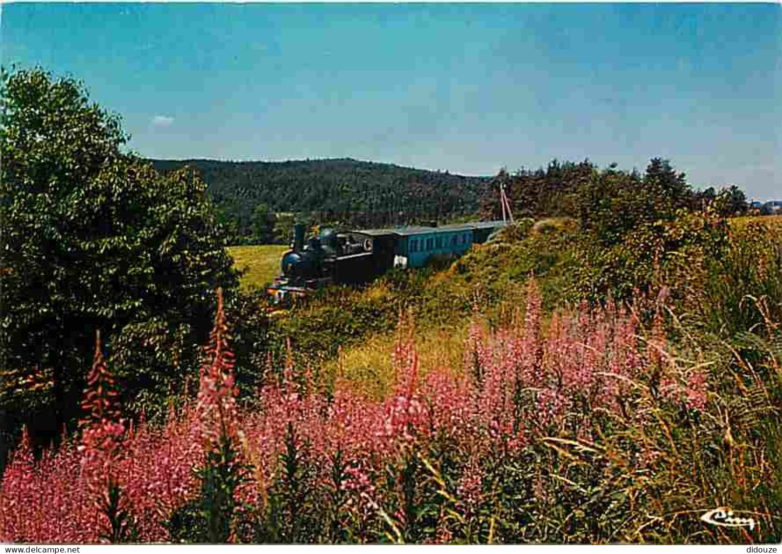 Trains - Ardèche - Train Départemental - CPM - Voir Scans Recto-Verso - Trains