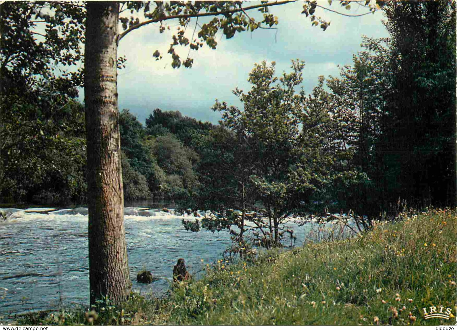 86 - Chauvigny - Les Bords De La Vienne - CPM - Voir Scans Recto-Verso - Chauvigny