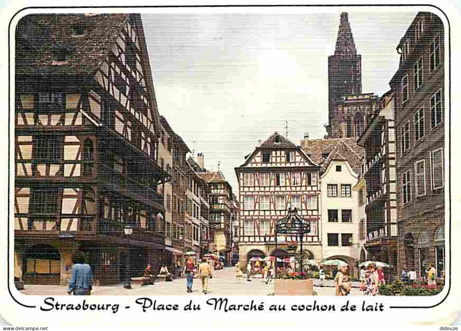 67 - Strasbourg - La Place Du Marché Aux Cochons De Lait Et La Cathédrale - CPM - Voir Scans Recto-Verso - Strasbourg