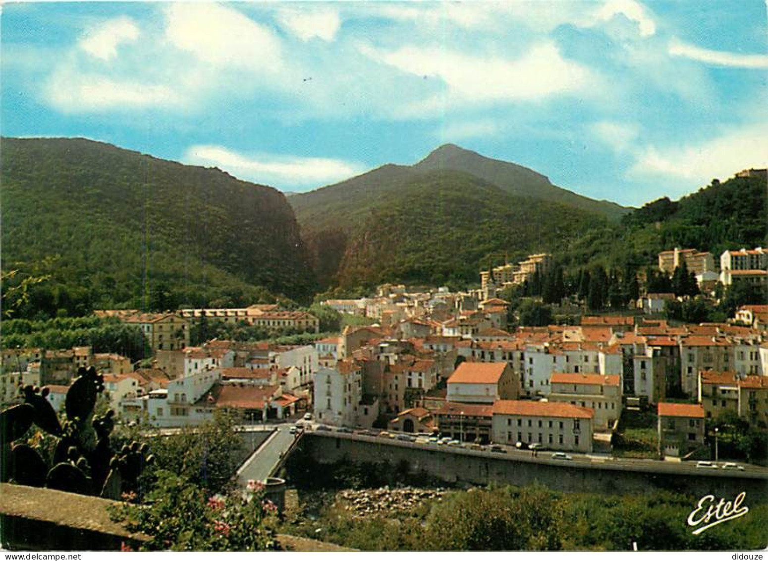 66 - Amélie Les Bains - Vue Générale De La Ville   Au Fond  L'entrée Des Gorges Du Mondony - CPM - Voir Scans Recto-Vers - Other & Unclassified