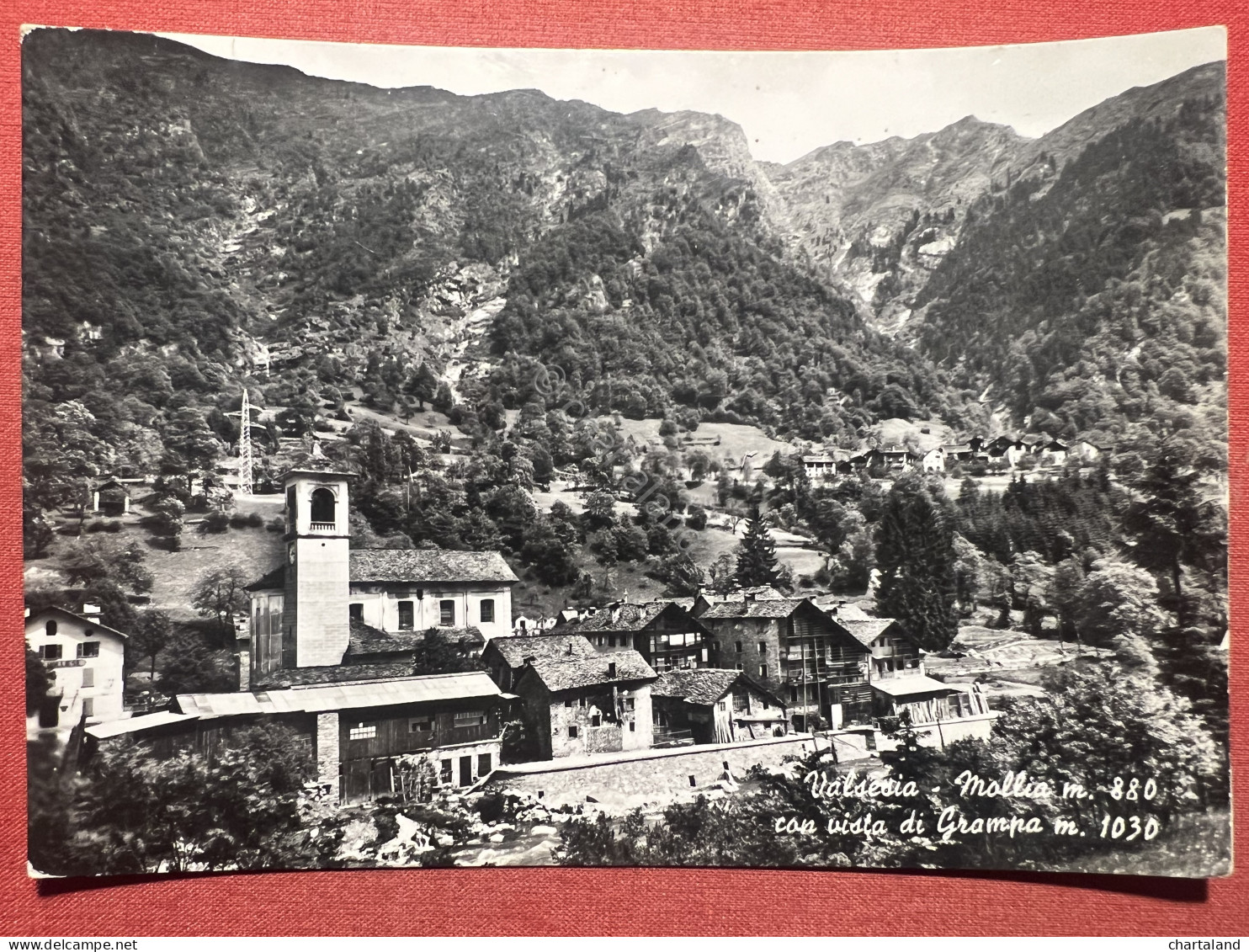 Cartolina - Valsesia - Mollia Con Vista Di Grampa - 1954 - Vercelli