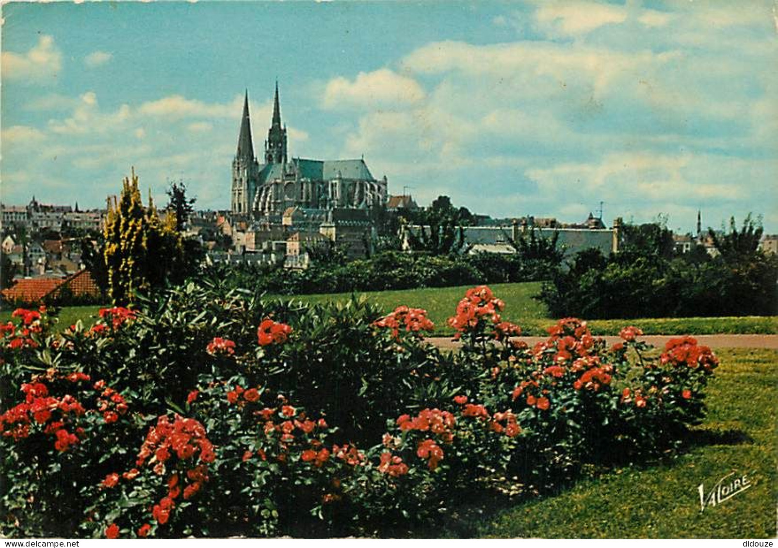 28 - Chartres - Perspective Sur La Cathédrale - Fleurs - CPM - Voir Scans Recto-Verso - Chartres