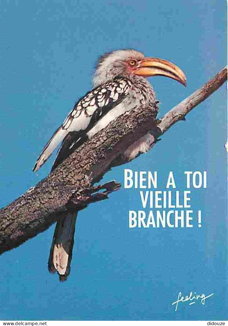 Animaux - Oiseaux - Carte Humoristique - CPM - Voir Scans Recto-Verso - Birds