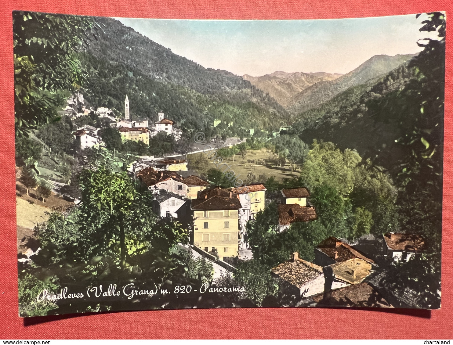 Cartolina - Pradleves - Valle Grana ( Cuneo ) - Panorama - 1955 - Cuneo