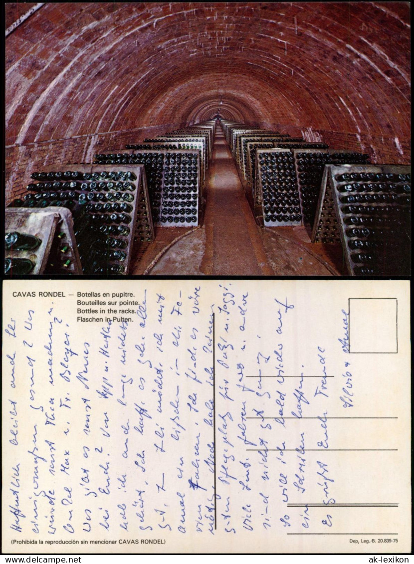 Postales .Spanien Cavas Rondell Flaschen In Pulten. 1975 - Other & Unclassified