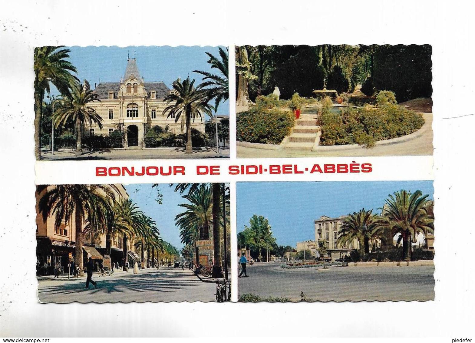 ALGERIE -  Bonjour De SIDI-BEL-ABBES - 4 Vues - Sidi-bel-Abbes