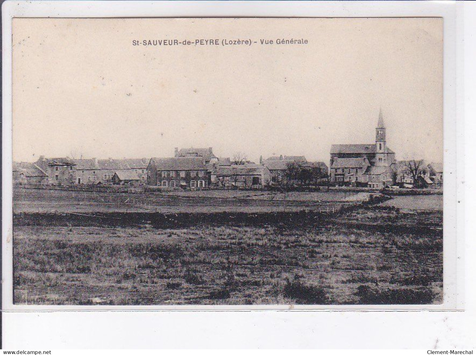 SAINT-SAUVEUR-de-PEYRE: Vue Générale - Très Bon état - Sonstige & Ohne Zuordnung