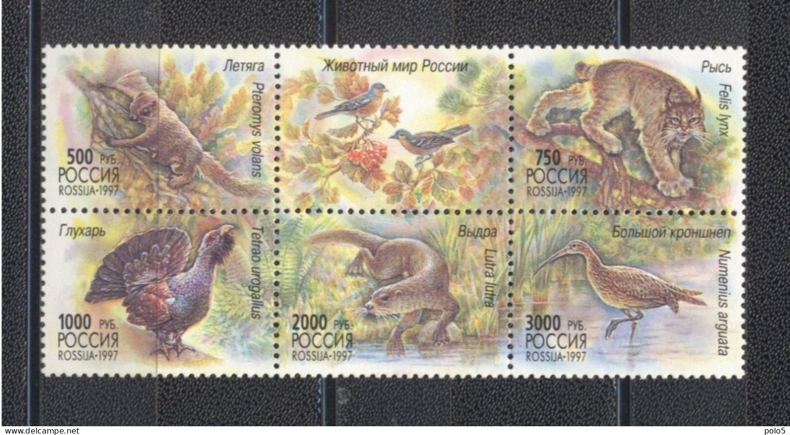 Russie 1997- Wildlife Of Russia Block Of 5 V+ 1 Label - Unused Stamps
