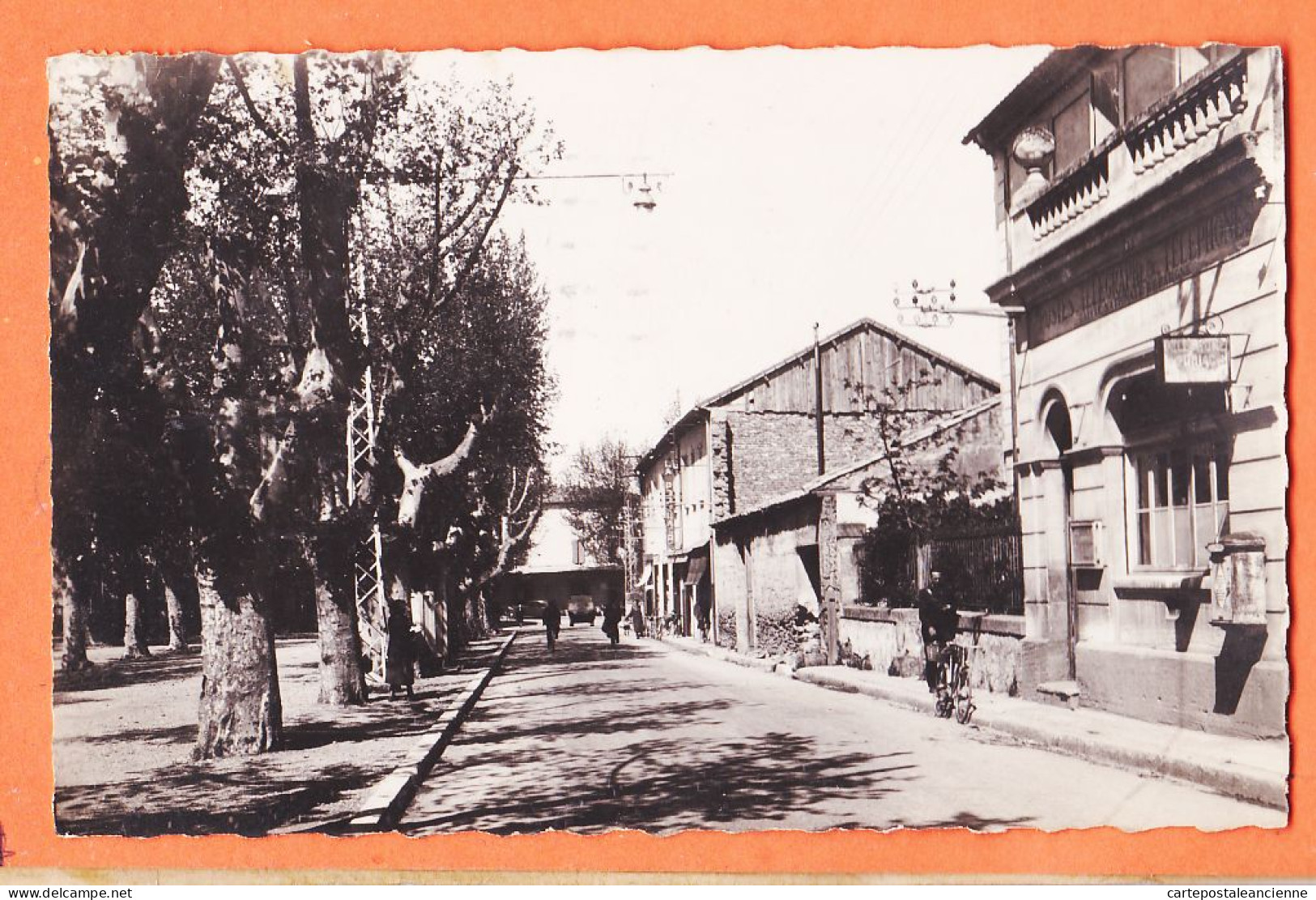 27369 / ♥️ ⭐ SORGUES 84-Vaucluse ◉ La POSTE Place Platanes ◉ 1952 à Olga ROMAN Graveson ◉ Photo-Bromure TARDY  - Sorgues