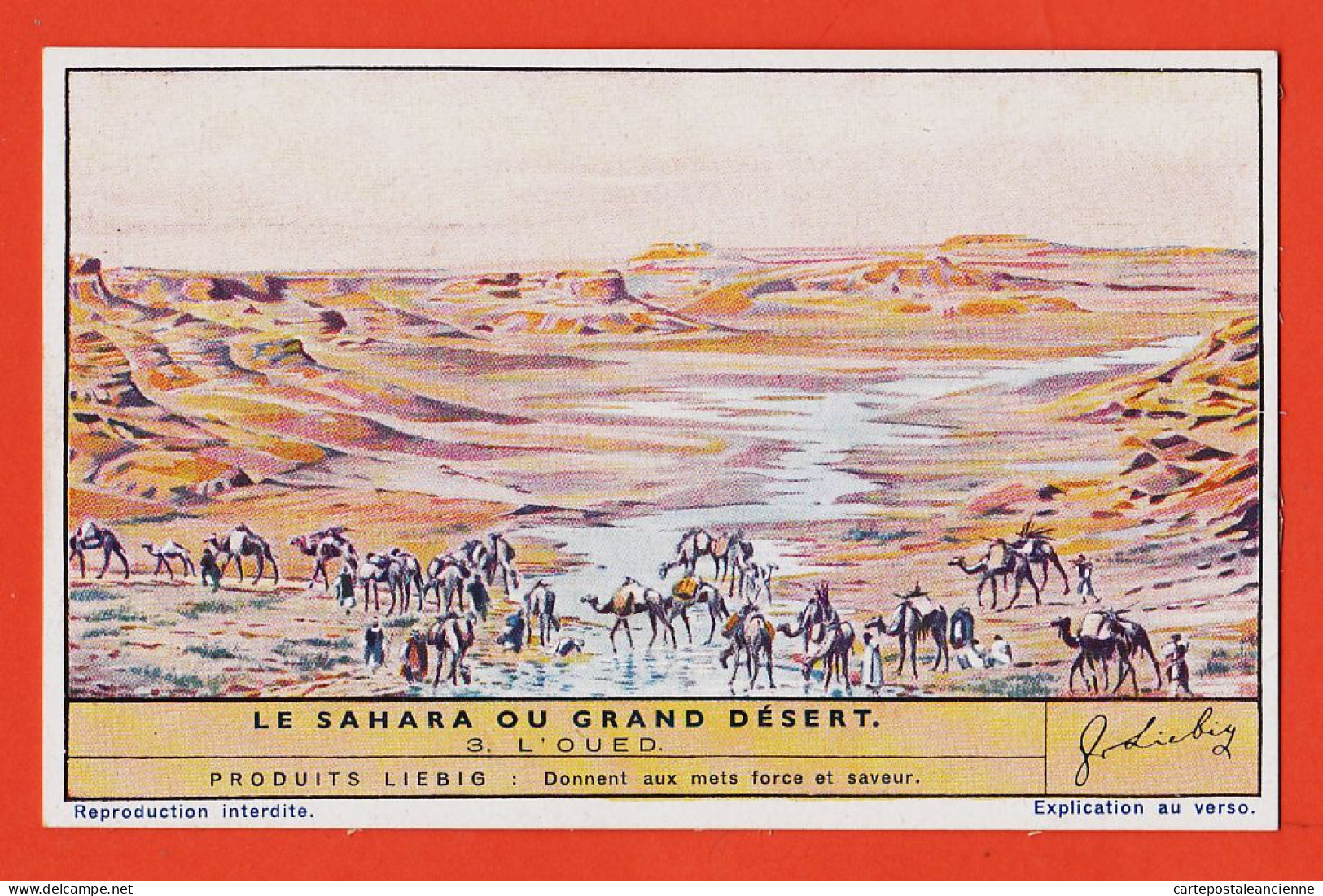 27288 / ⭐ Chromo LIEBIG ◉ Série 165 Sahara Ou Grand Desert N° 3 ◉ L' Oued  - Liebig