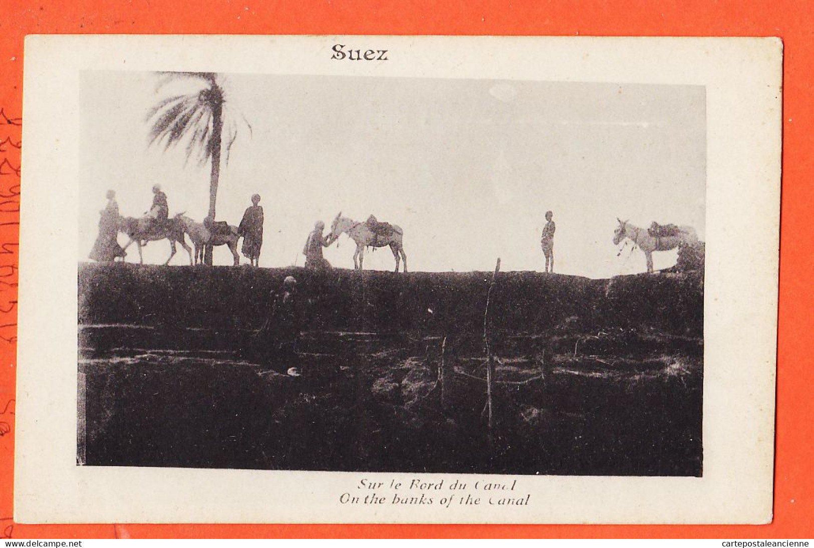 27231 / ⭐ SUEZ Egypt On The Banks Of The Canal Egypte Sur Le Bord Du Canal 1910s - Sues
