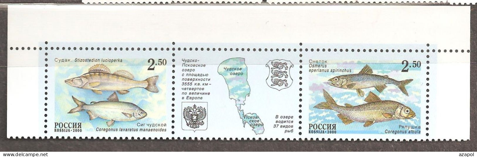 Russia: Full Set 2 Mint Stamps In Strip With Label, Fish Of Chudsko-Pskovskoye Lake, 2000, Mi#861-862, MNH. Join Issue - Emissioni Congiunte