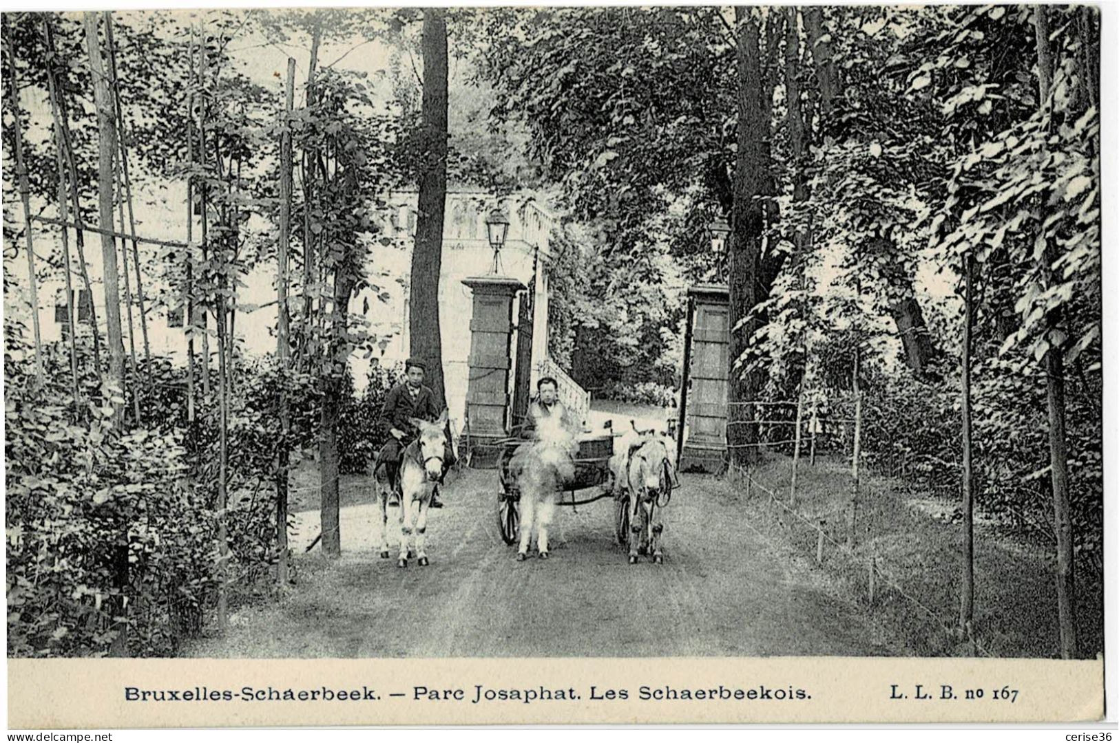 Schaerbeek Parc Josaphat - Les Schaerbeekois Circulée En 1908 - Schaerbeek - Schaarbeek