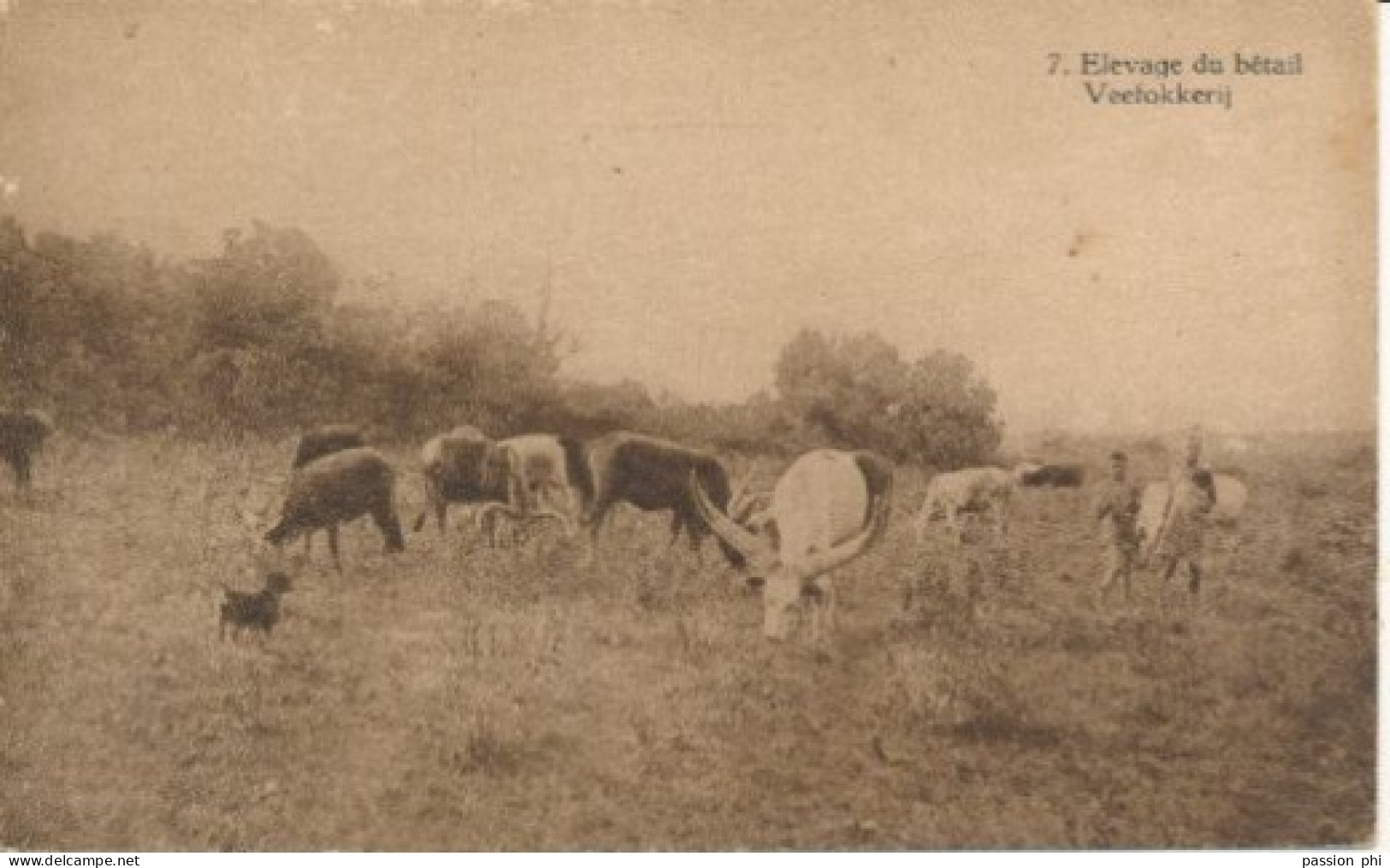 ZAC BELGIAN CONGO   PPS SBEP 67 VIEW 7 UNUSED - Enteros Postales