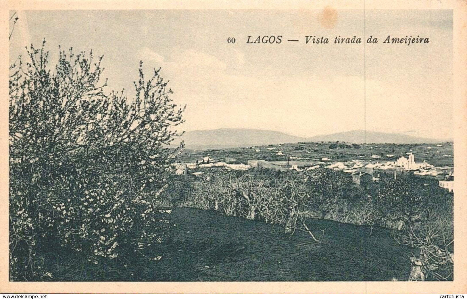 LAGOS, Algarve - Vista Tirada Da Ameijoeira  ( 2 Scans ) - Faro