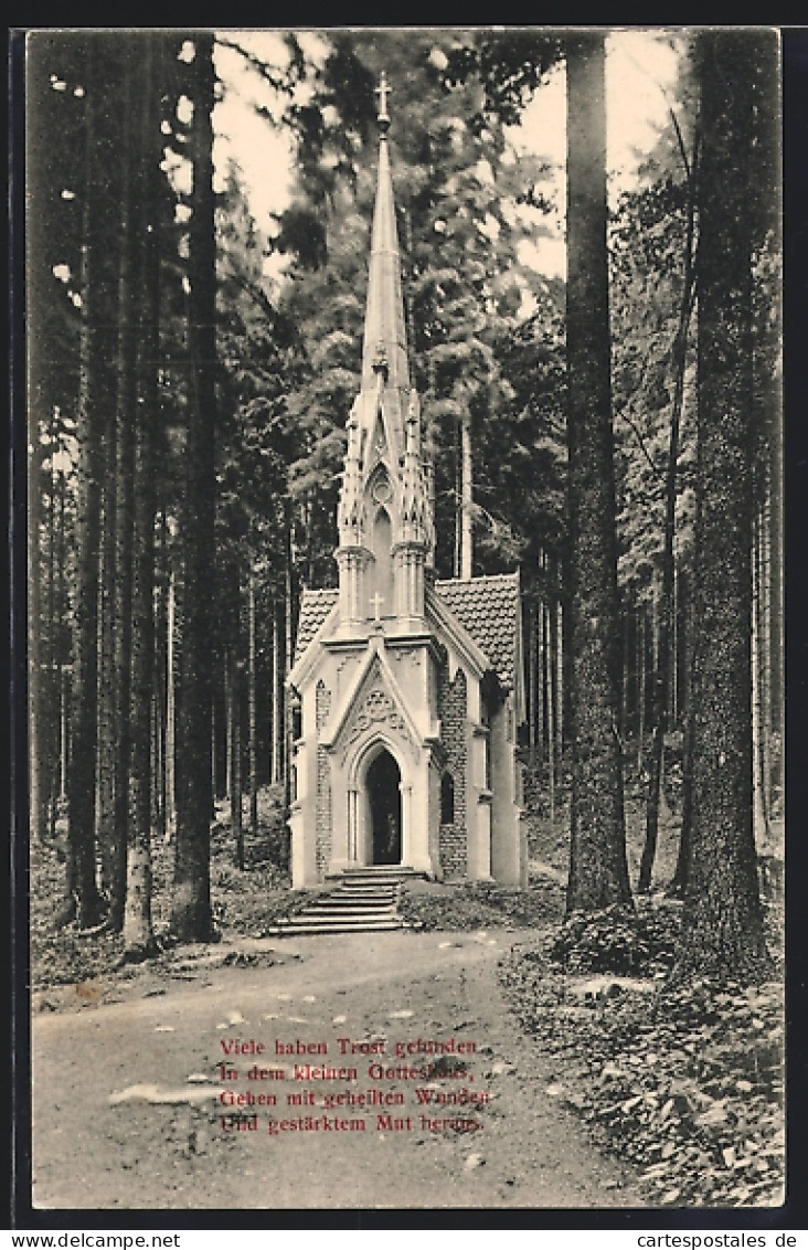 AK Marienbad, Blick Auf Die Waldkapelle  - Tchéquie
