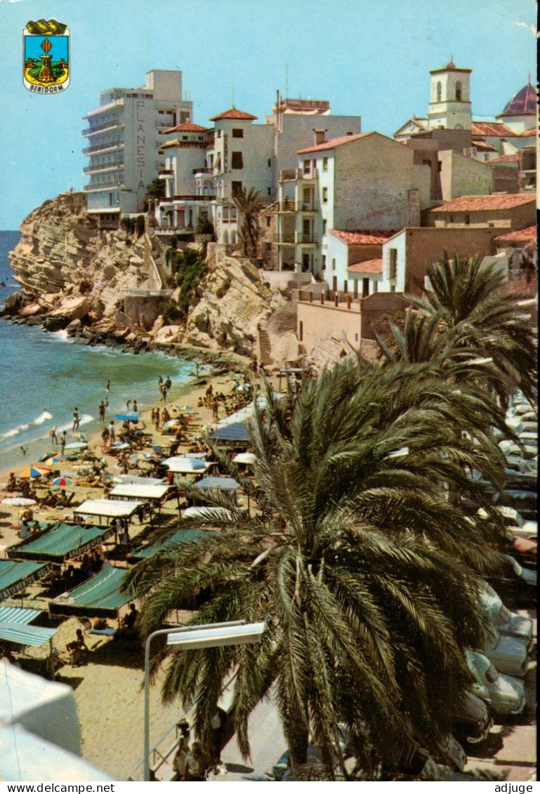 CPM- Espagne - BENIDORM - La Plage , Les Villas , HôtelPlanesia , Vus Depuis Le Château Ann.70 * TBE - Andere & Zonder Classificatie