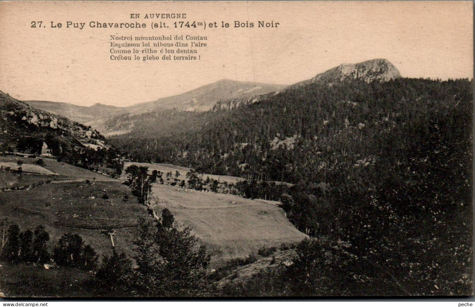 N°3074 W -cpa Le Puy Chavaroche Et Le Bois Noir- - Sonstige & Ohne Zuordnung