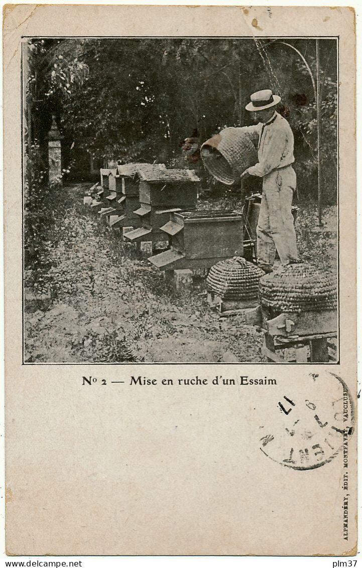 MONTFAVET - Apiculture, Mise En Ruche - Carte écrite Par Alphandéry - Sonstige & Ohne Zuordnung