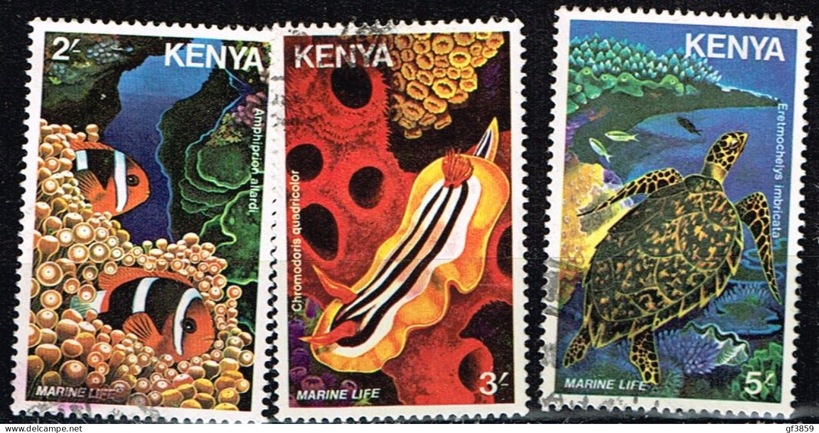 KENYA / Oblitérés/Used / 1980 - Faune Marine - Kenia (1963-...)