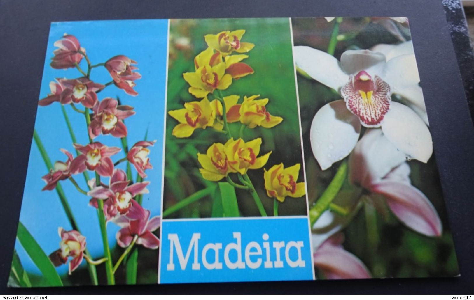 Madeira - Funchal - Orquideas Da Quinta De Boa Vista - Hans Huber, Garmisch-Partenkirchen - Madeira