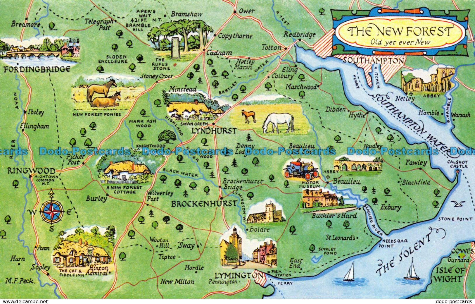 R069736 The New Forest. Old Yet Ever New. A Map. Salmon - World