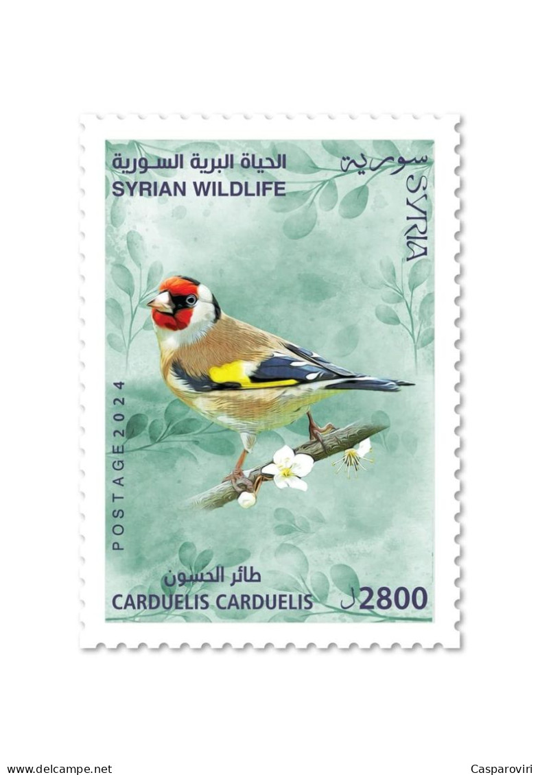 2024001; Syria; 2024; Strip Of 5 Stamps; Syrian Wildlife; Syrian Birds; 5 Different Stamps; MNH** - Piciformes (pájaros Carpinteros)
