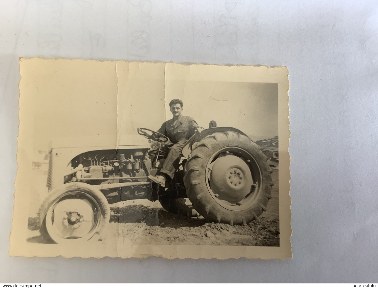 Photo Ancienne .tracteur - Tractors