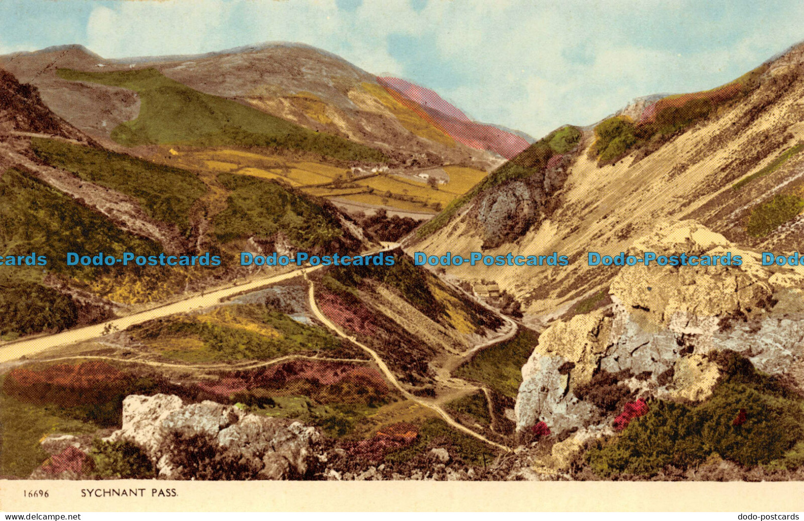 R070676 Sychnant Pass. Harvey Barton. No 16696 - World