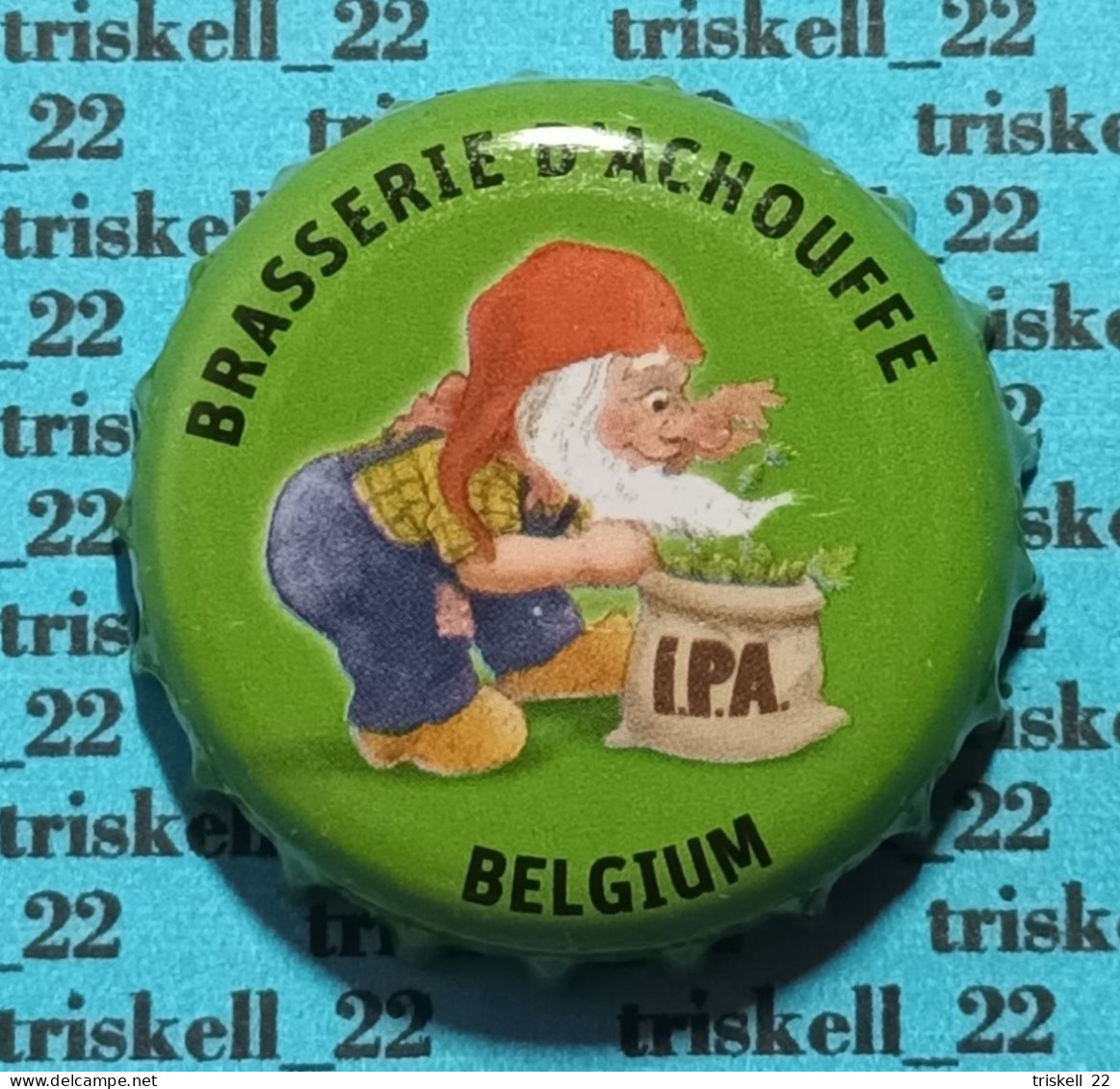 Brasserie D'Achouffe    Lot N°44 - Bière