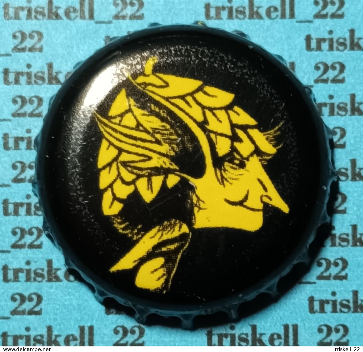Cuvée Des Trolls (profil)    Lot N°44 - Bière