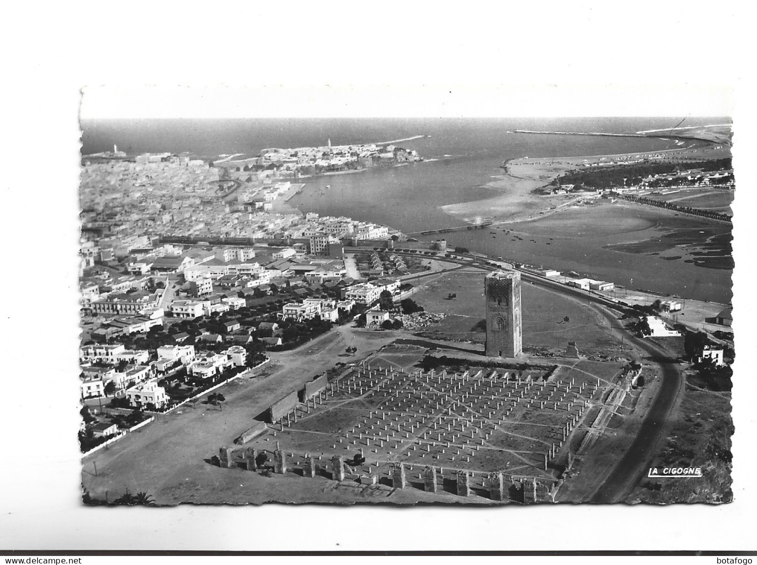 CPA  PHOTO RABAT,    RUINES DE LA MOSQUEE Et   LA TOUR HASSAN - Rabat