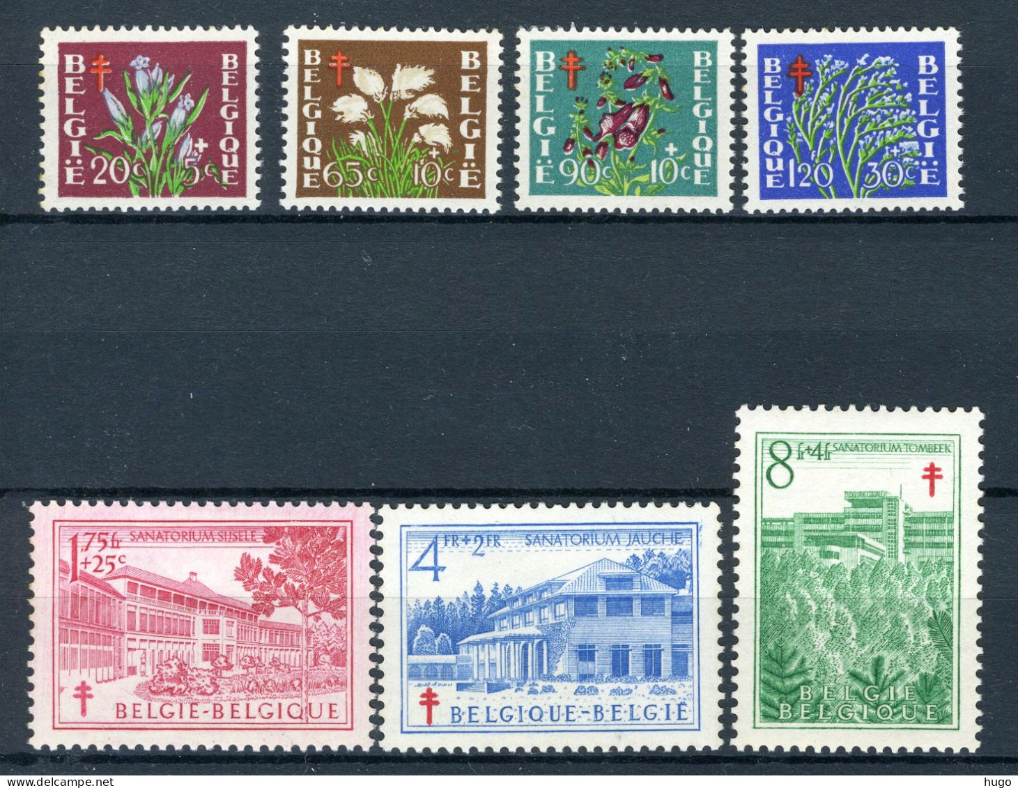 (B) 834/840 MNH 1950 - Antiteringzegels. - Unused Stamps