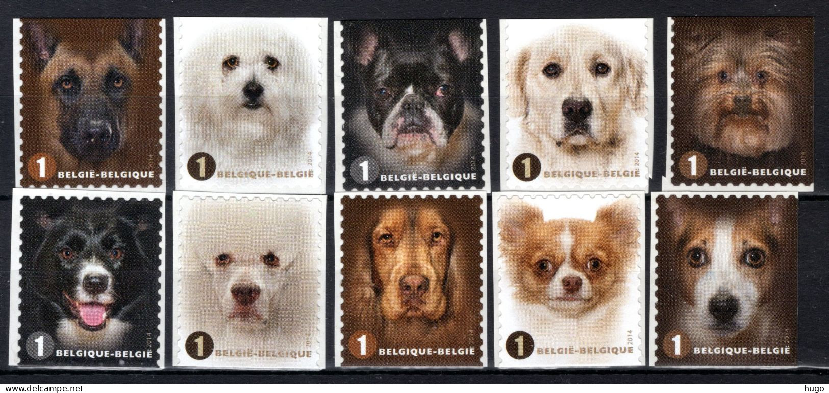 4383/4392 MNH** 2014 - Honden Naderbij - Unused Stamps