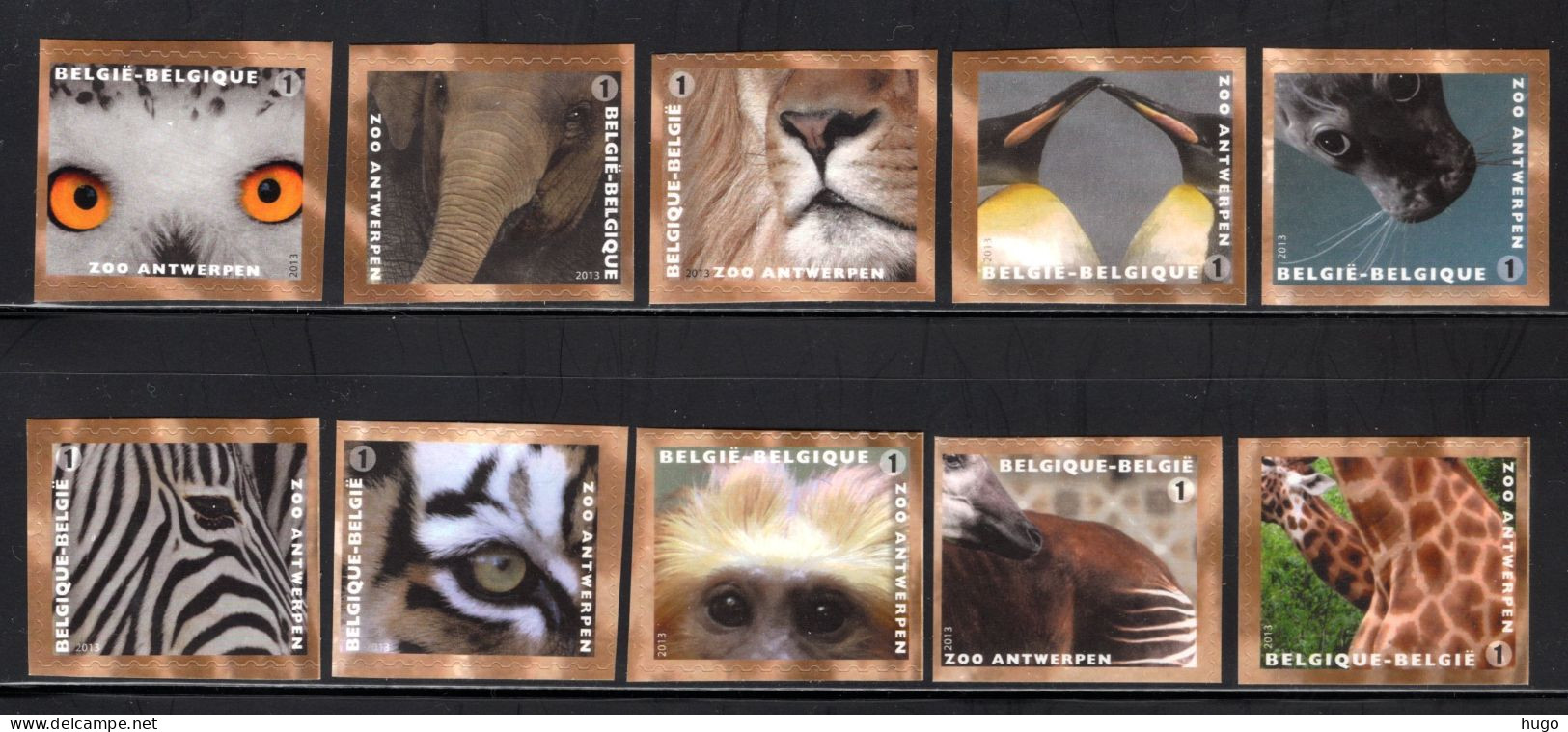 4340/4349 MNH 2013 - Zoo Antwerpen - Unused Stamps
