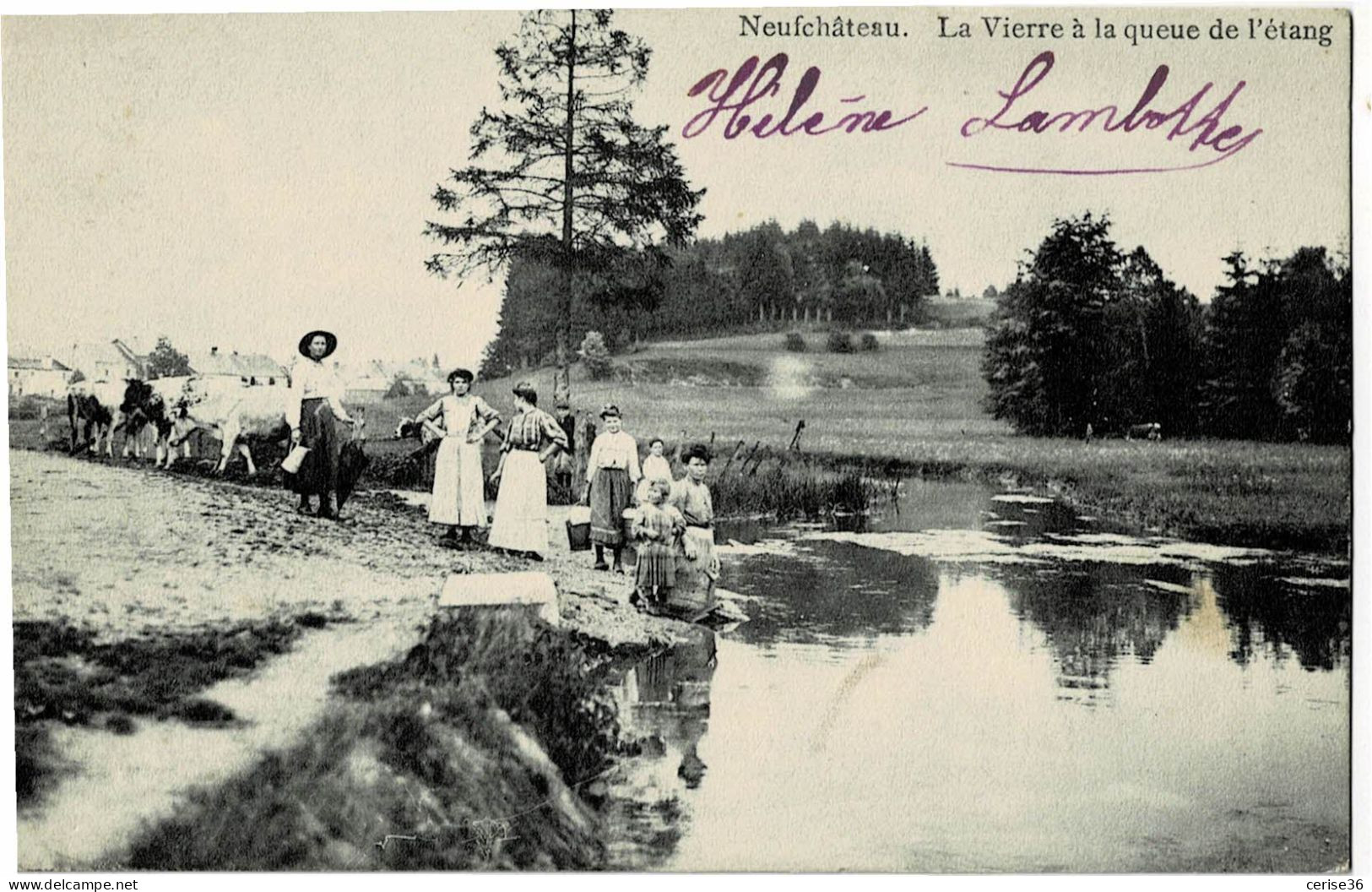 Neufchâteau La Vierre à La Queue De L'Etang Circulée En 1910 - Neufchateau