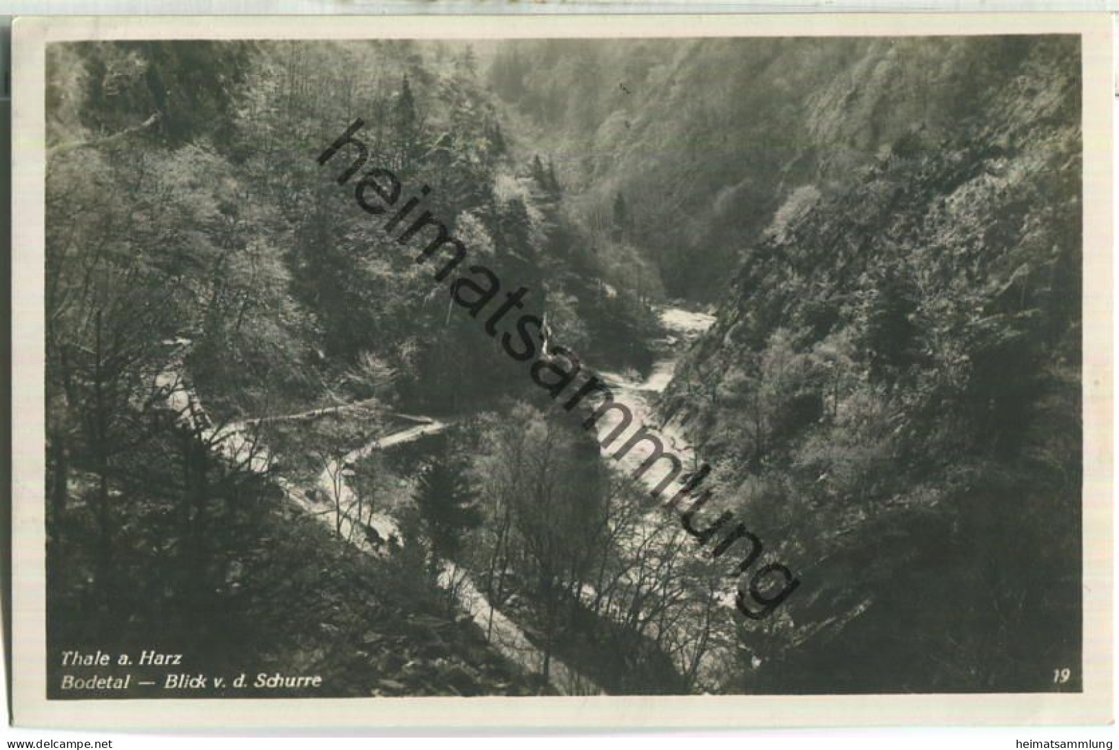 Thale - Bodetal - Blick Von Der Schurre - Foto-Ansichtskarte - Verlag Hermann Leiste Thale - Thale