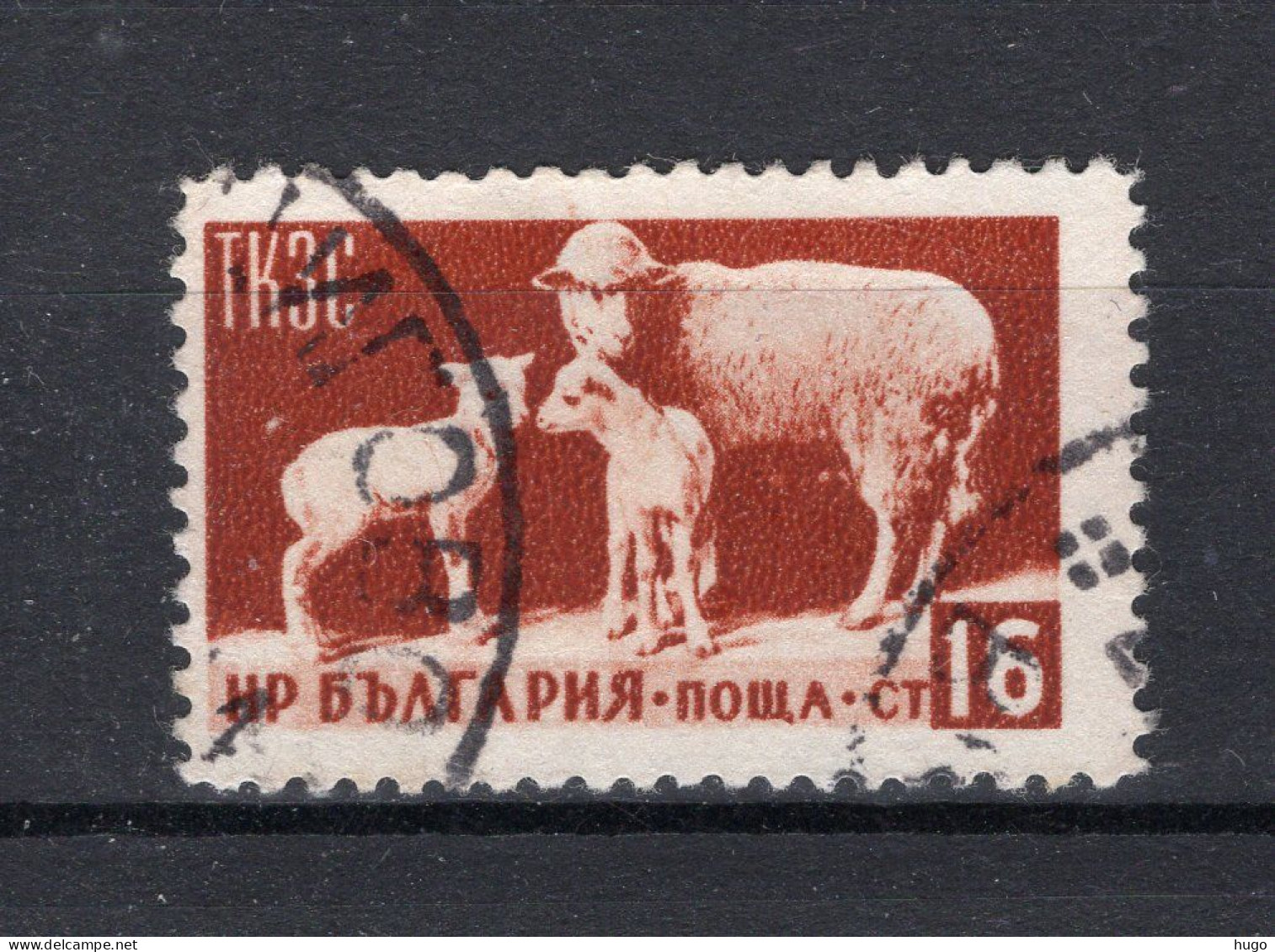 BULGARIJE Yt. 809° Gestempeld 1955 - Used Stamps