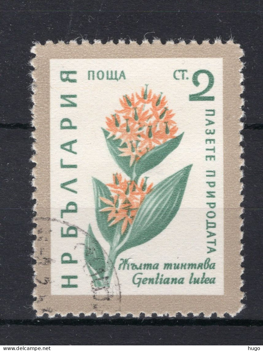 BULGARIJE Yt. 1018° Gestempeld 1960 - Used Stamps