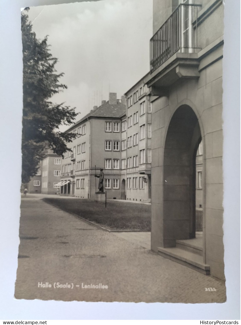 Halle (Saale), Leninallee, Statur, 1962 - Halle (Saale)